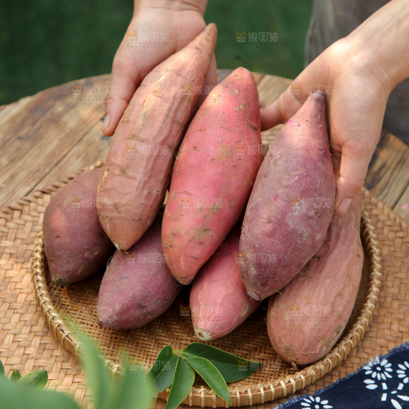 四色蜜薯