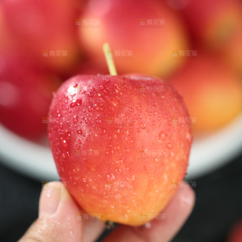 鸡心果