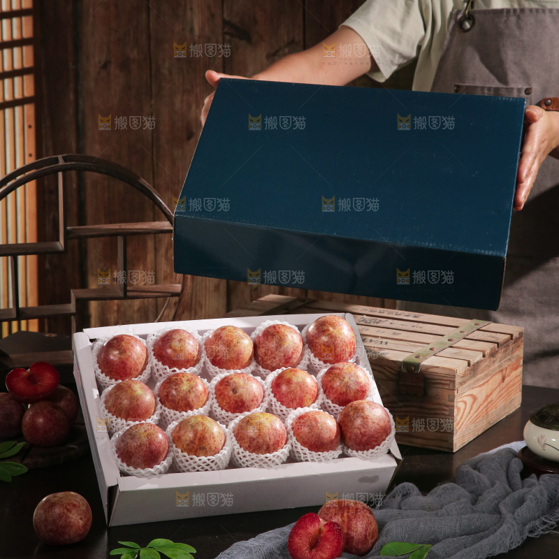 恐龙蛋李
