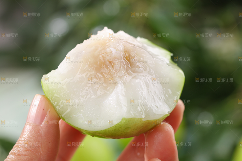 贵妃牛奶枣