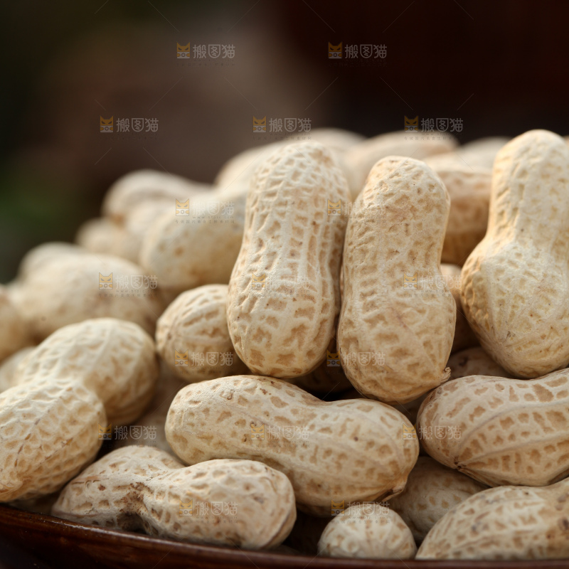 小珍珠花生