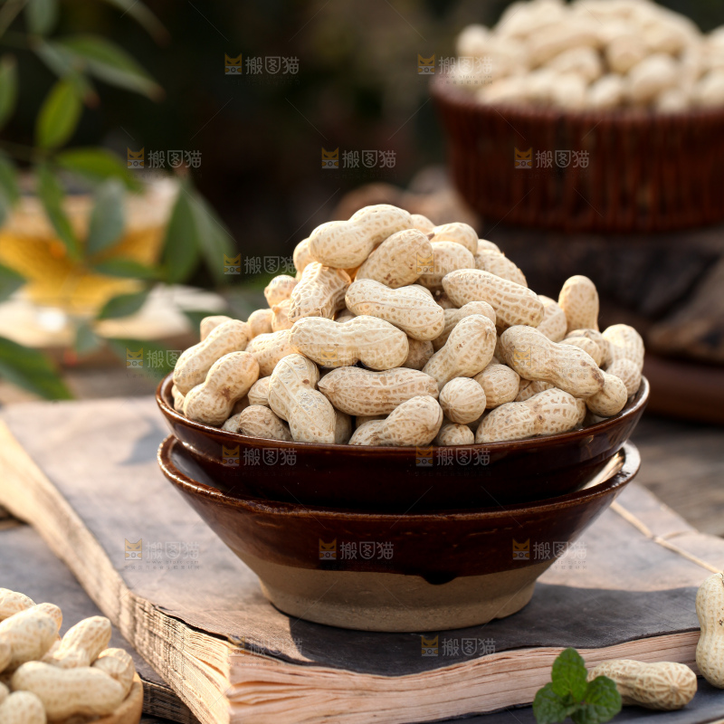 小珍珠花生