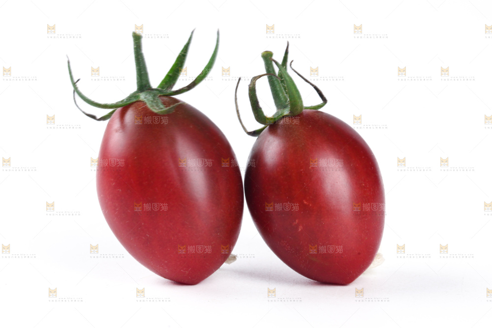 紫弹头小番茄