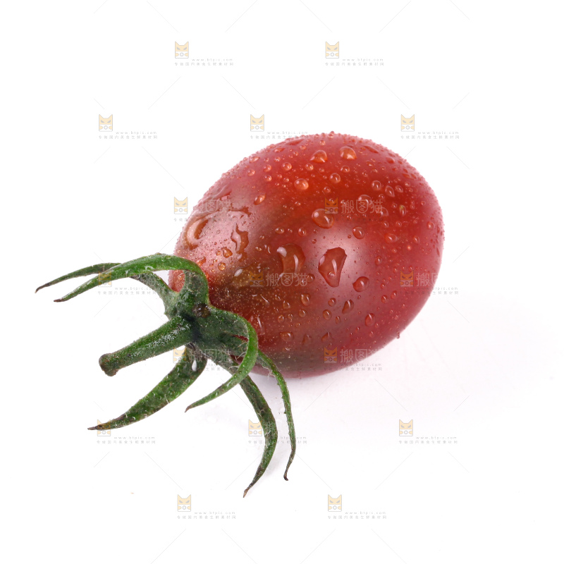 紫弹头小番茄