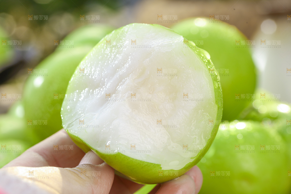 贵妃牛奶枣