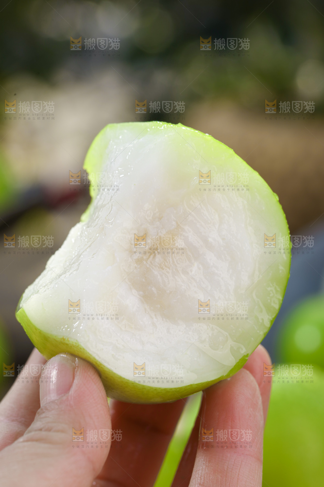 贵妃牛奶枣