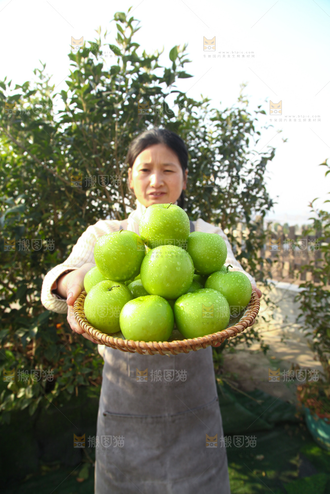 贵妃牛奶枣