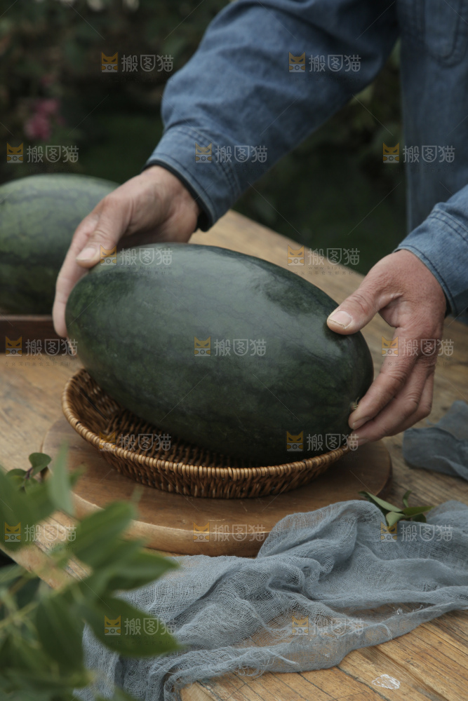 黑美人西瓜