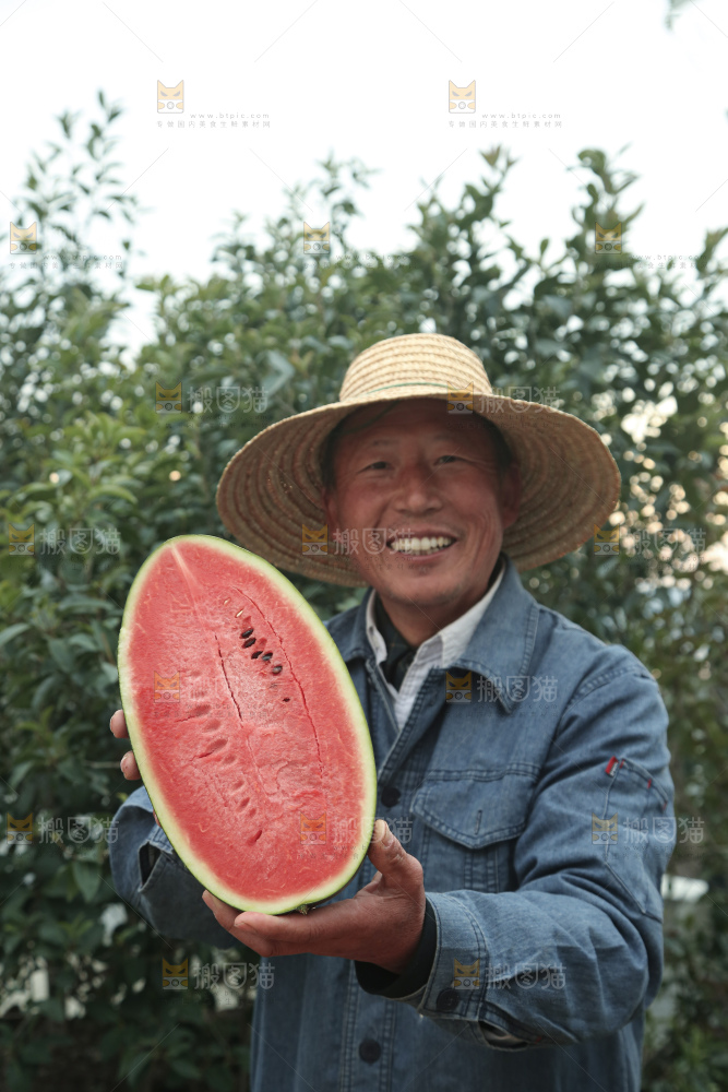 黑美人西瓜