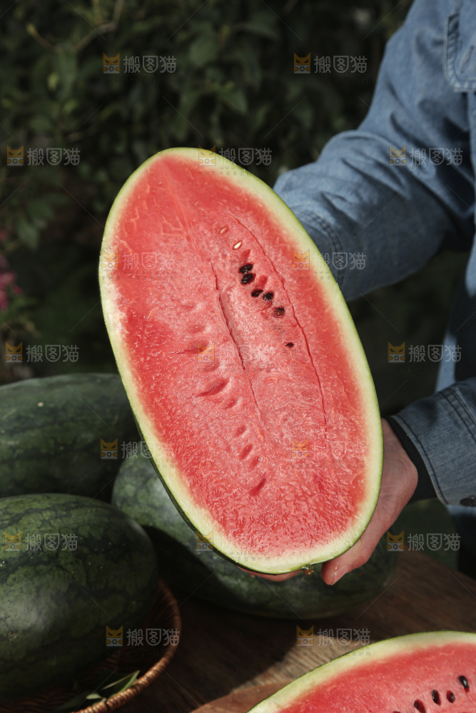 黑美人西瓜