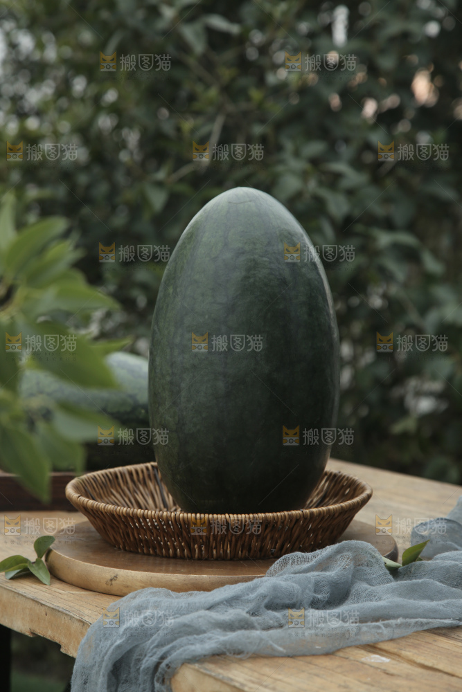 黑美人西瓜