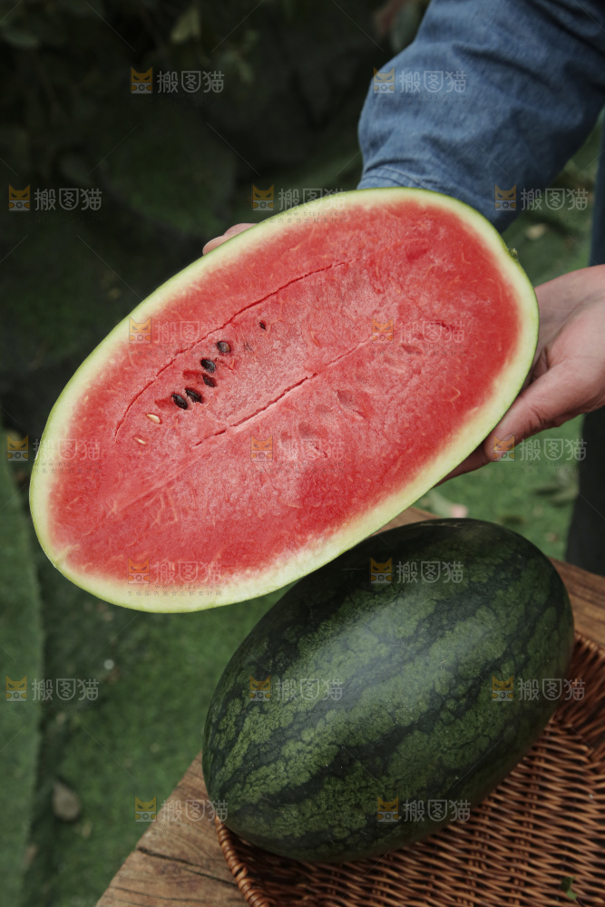 黑美人西瓜