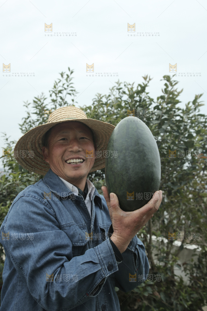黑美人西瓜