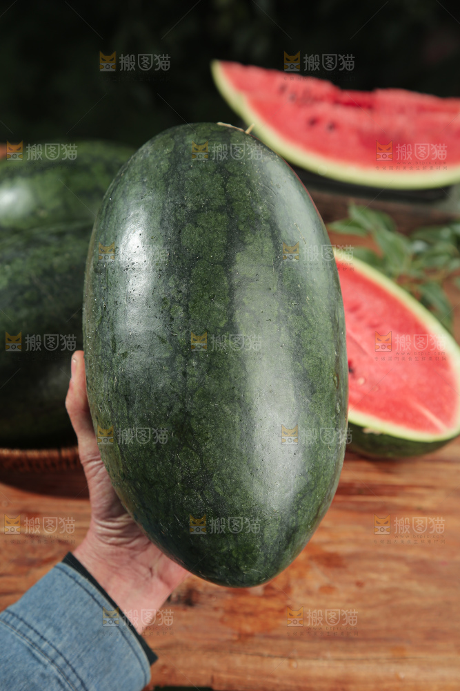黑美人西瓜