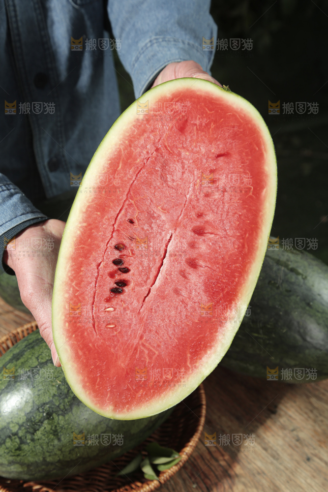 黑美人西瓜