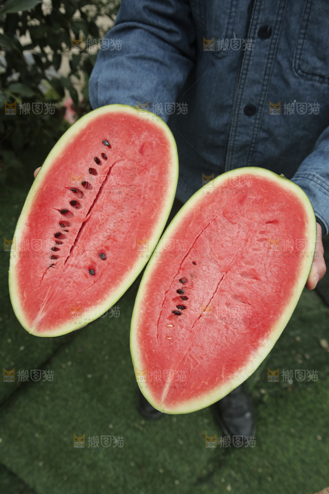 黑美人西瓜