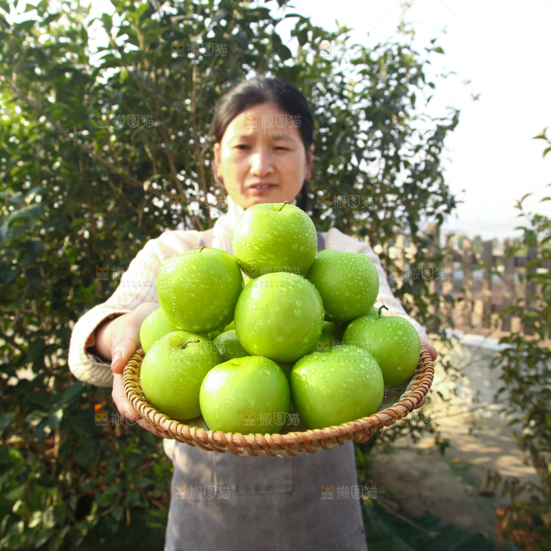 贵妃牛奶枣