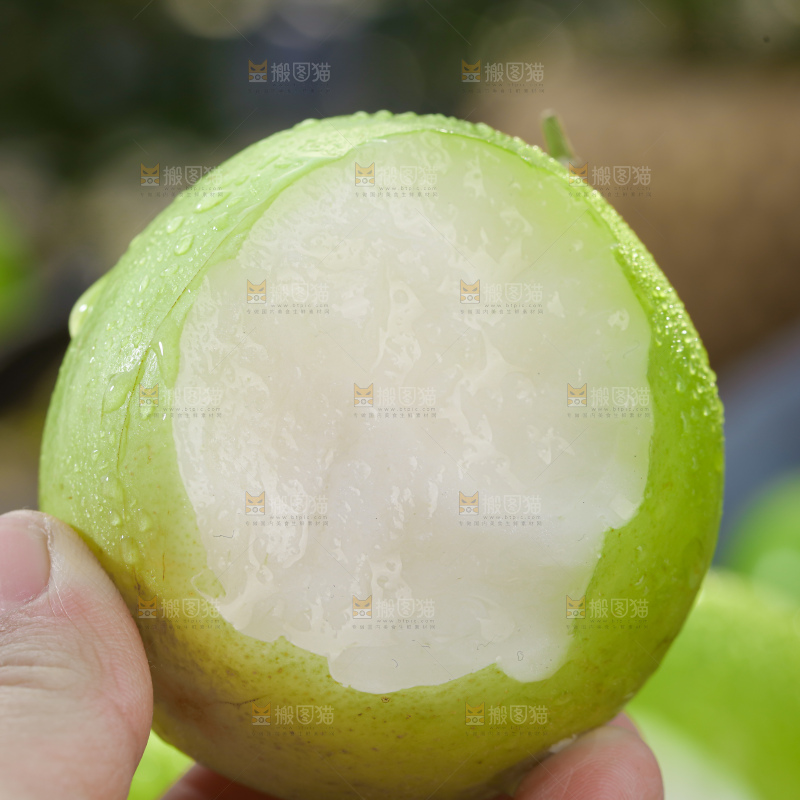 贵妃牛奶枣