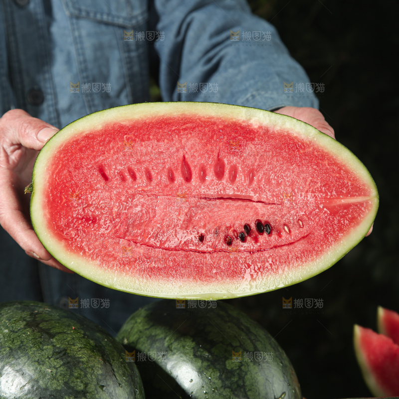 黑美人西瓜