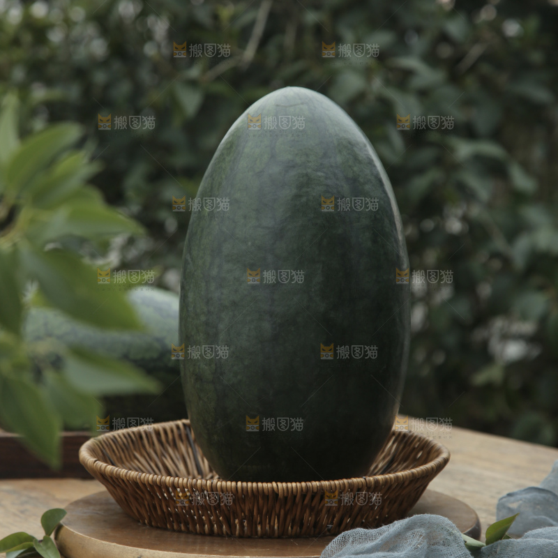 黑美人西瓜