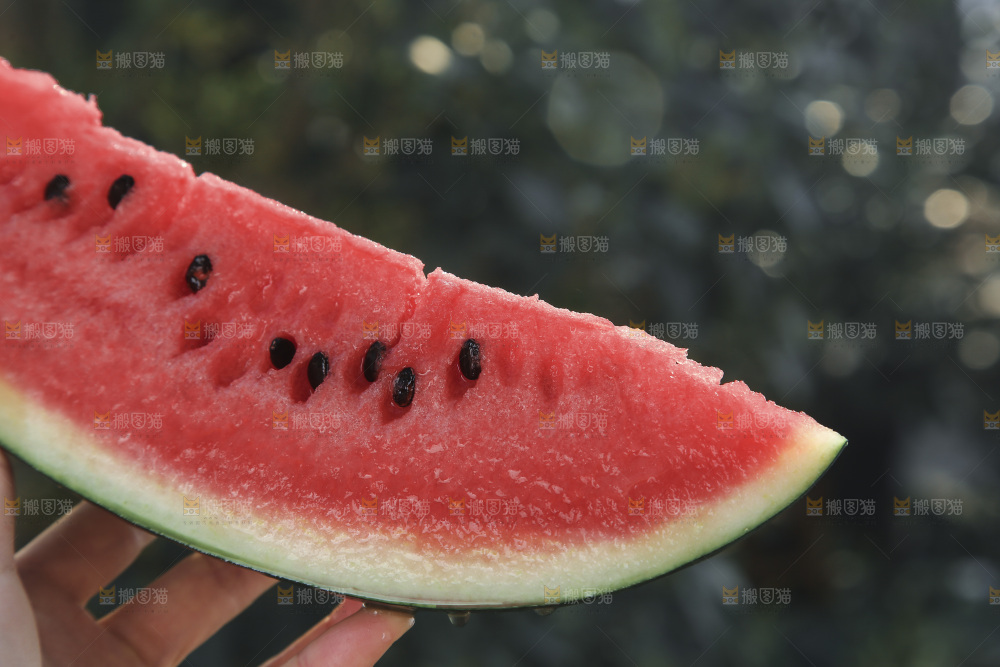 黑美人西瓜