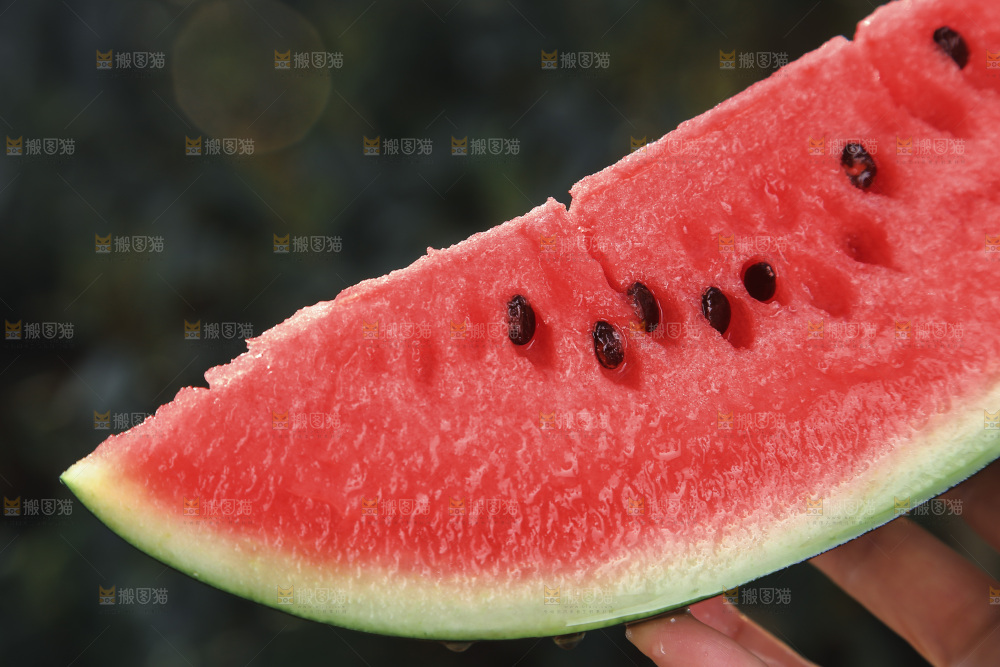 黑美人西瓜