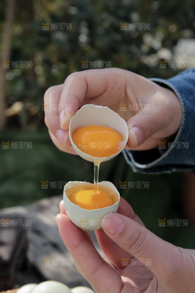 绿壳鸡蛋