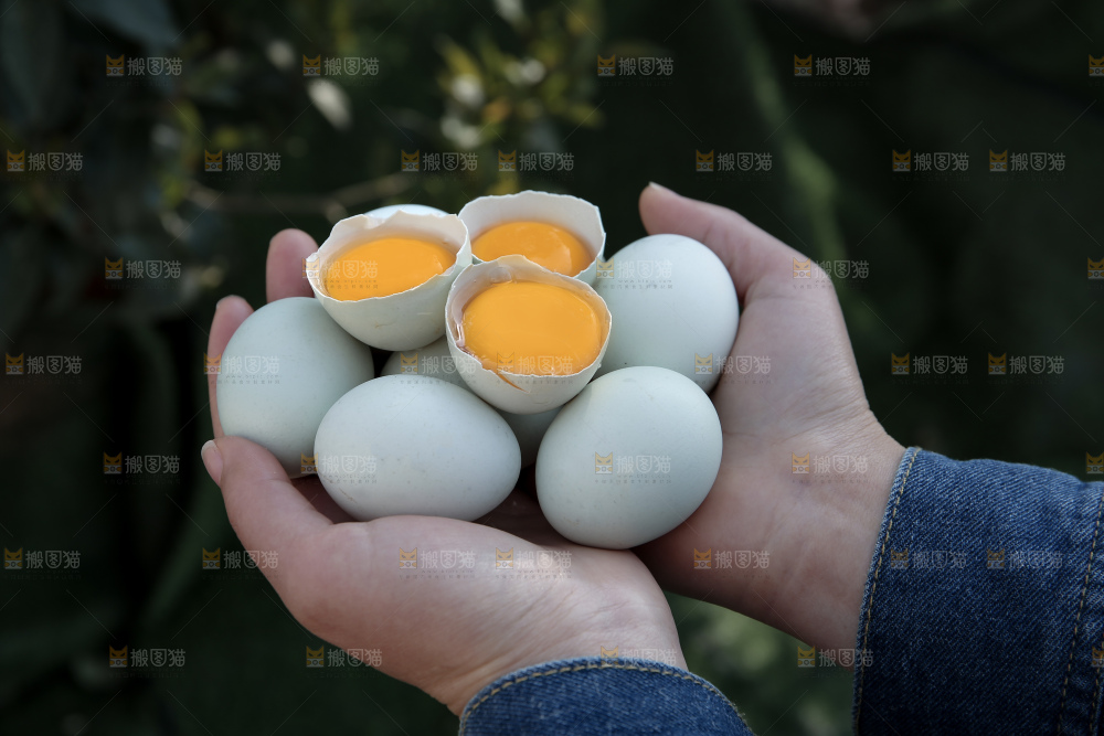 绿壳鸡蛋