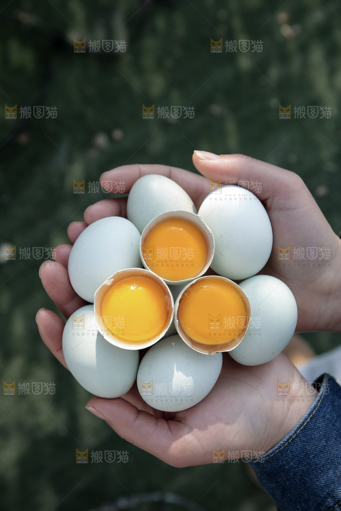 绿壳鸡蛋