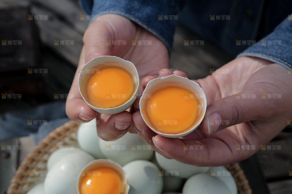 绿壳鸡蛋