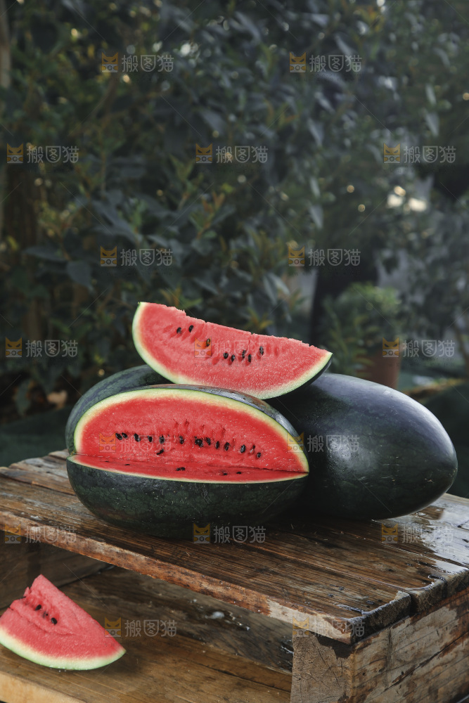 黑美人西瓜