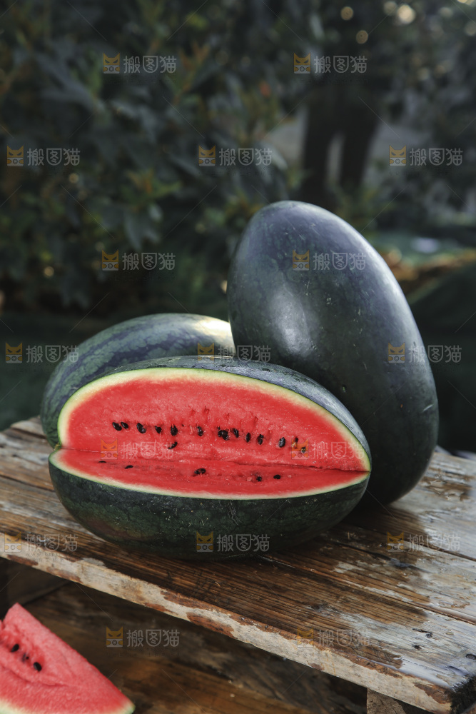 黑美人西瓜