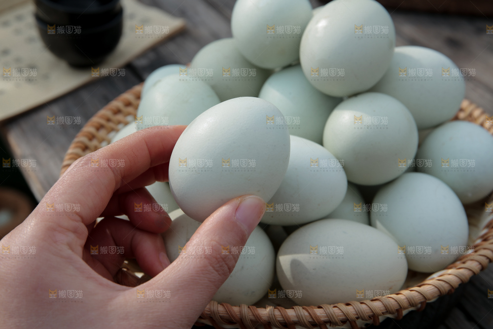 绿壳鸡蛋