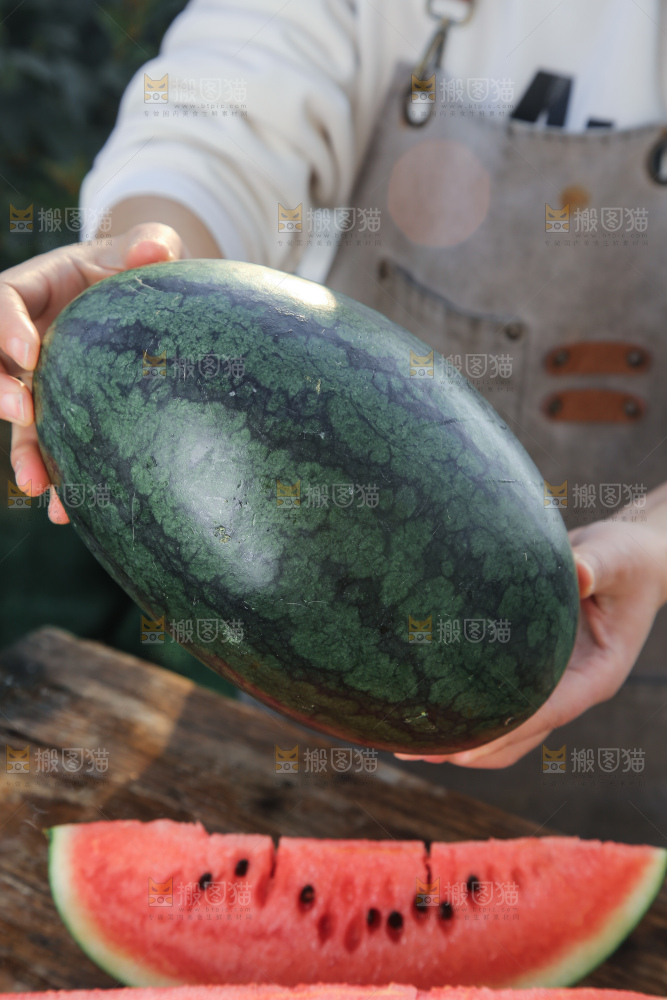 黑美人西瓜