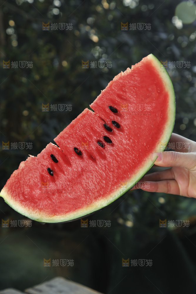 黑美人西瓜