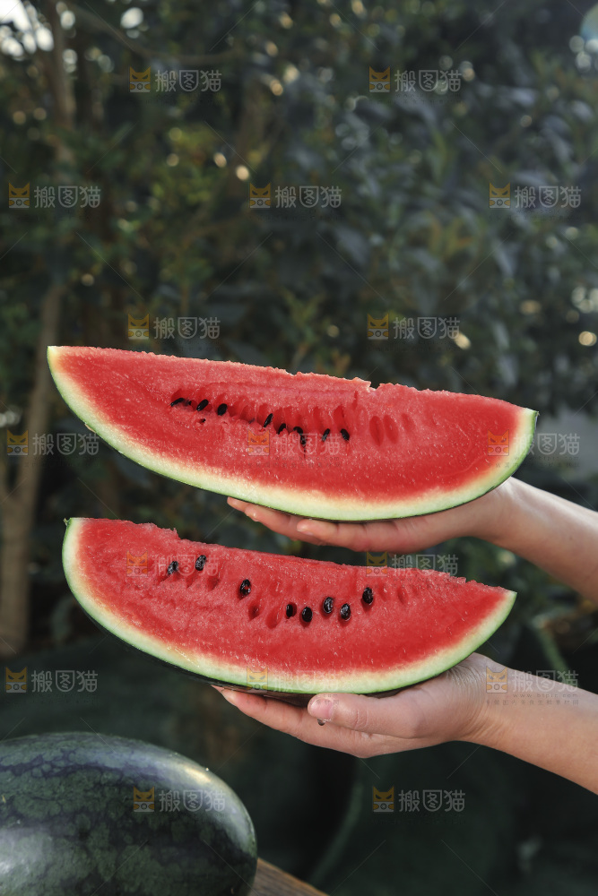 黑美人西瓜