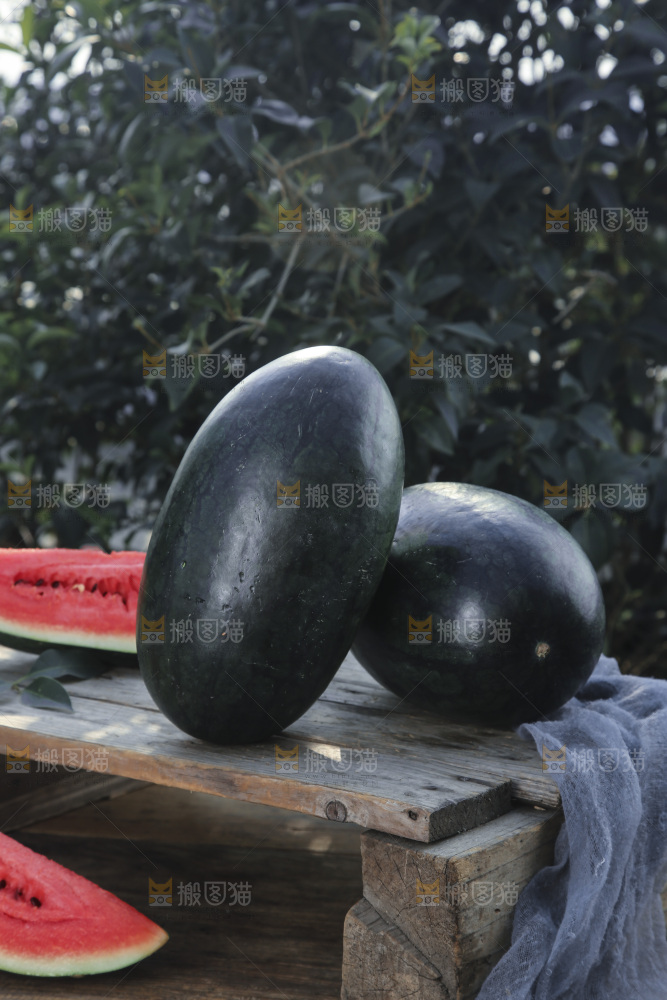 黑美人西瓜