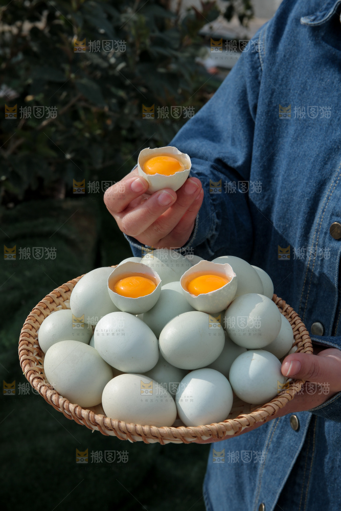绿壳鸡蛋