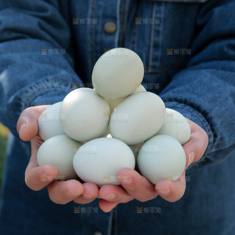 绿壳鸡蛋