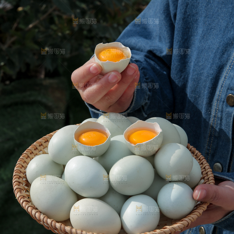 绿壳鸡蛋