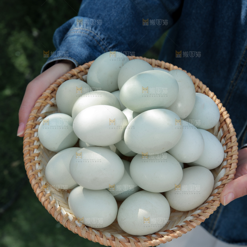 绿壳鸡蛋