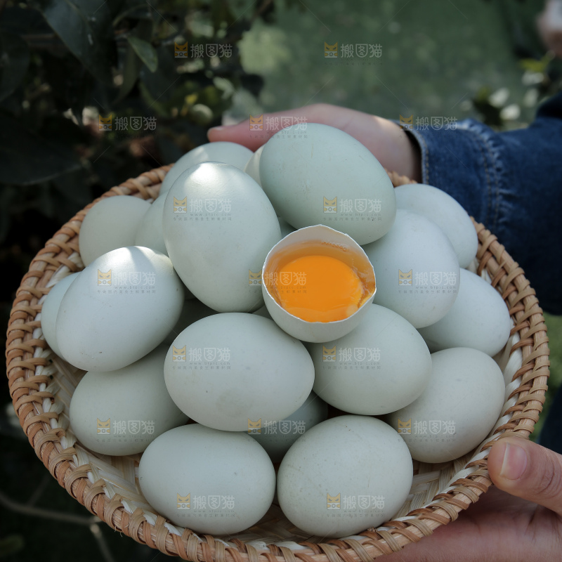 绿壳鸡蛋