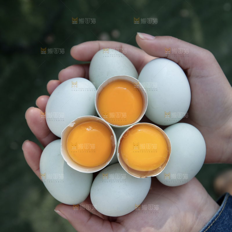 绿壳鸡蛋