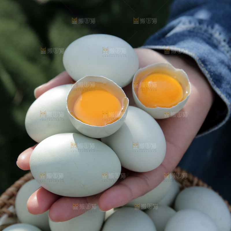 绿壳鸡蛋