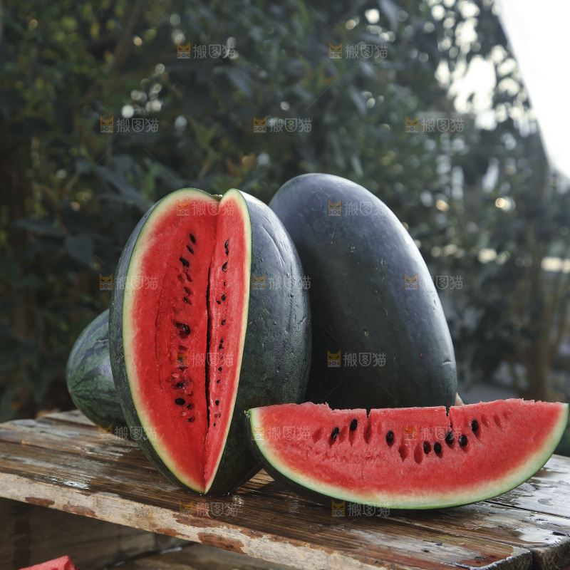 黑美人西瓜