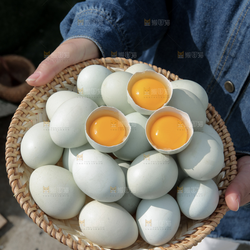 绿壳鸡蛋