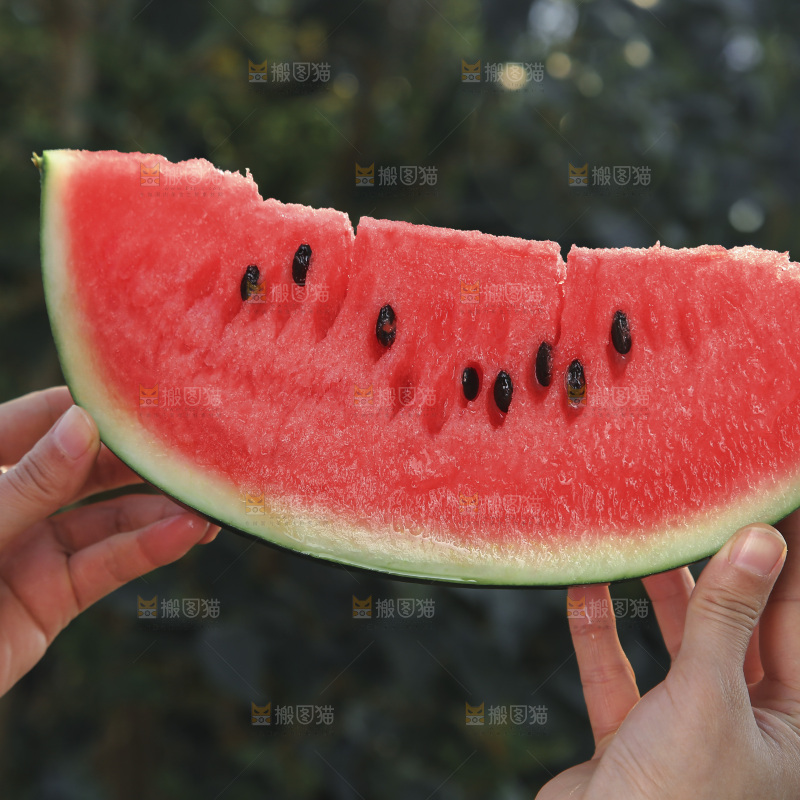 黑美人西瓜