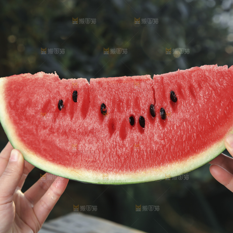 黑美人西瓜