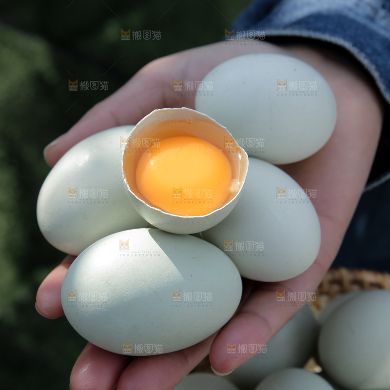 绿壳鸡蛋