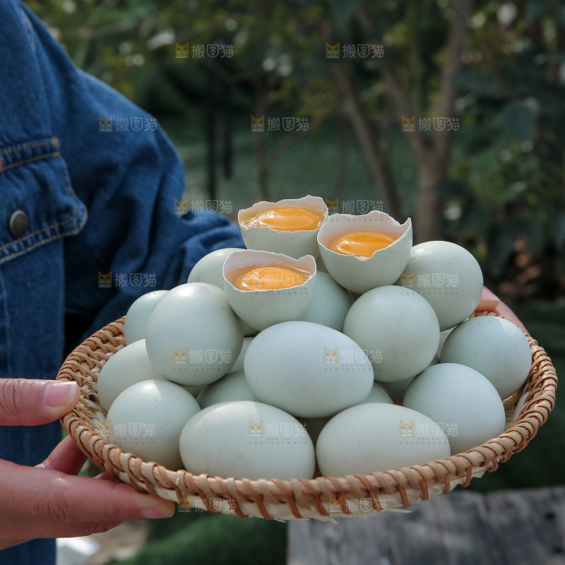 绿壳鸡蛋